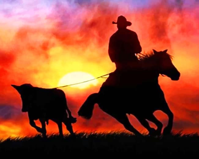 

Aesthetic Cowboy Silhouette – Paint By Numbers - 40*50CM, 501 Original