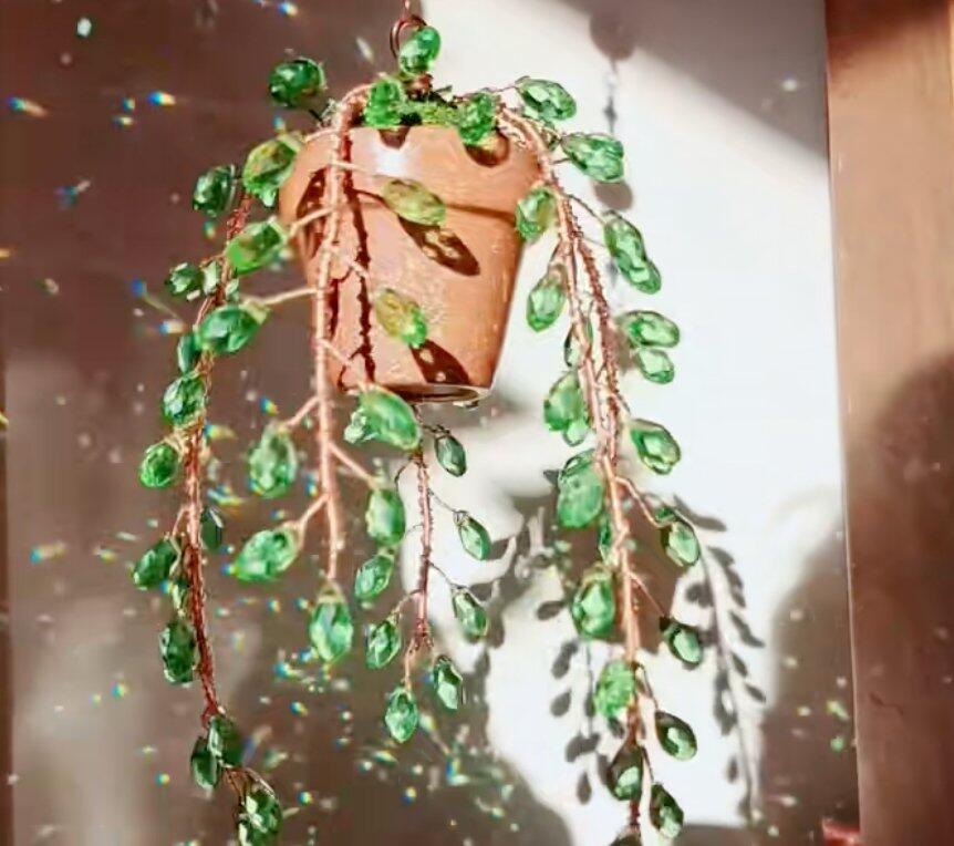 Plant suncatcher window photo note