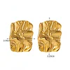 Stylish Texture 18K Golden Silver Earrings