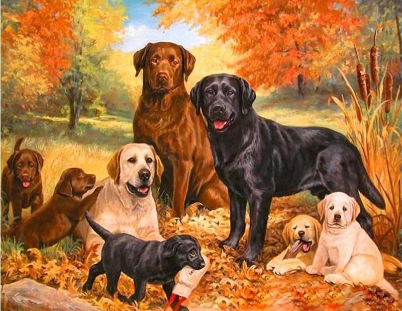 

Dogs Family – Paint By Numbers - 40*50CM, 501 Original