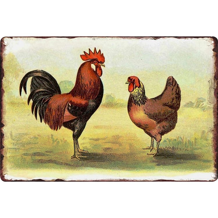 Farm House Chicken - Vintage Tin Signs/Wooden Signs - 7.9x11.8in & 11.8x15.7in