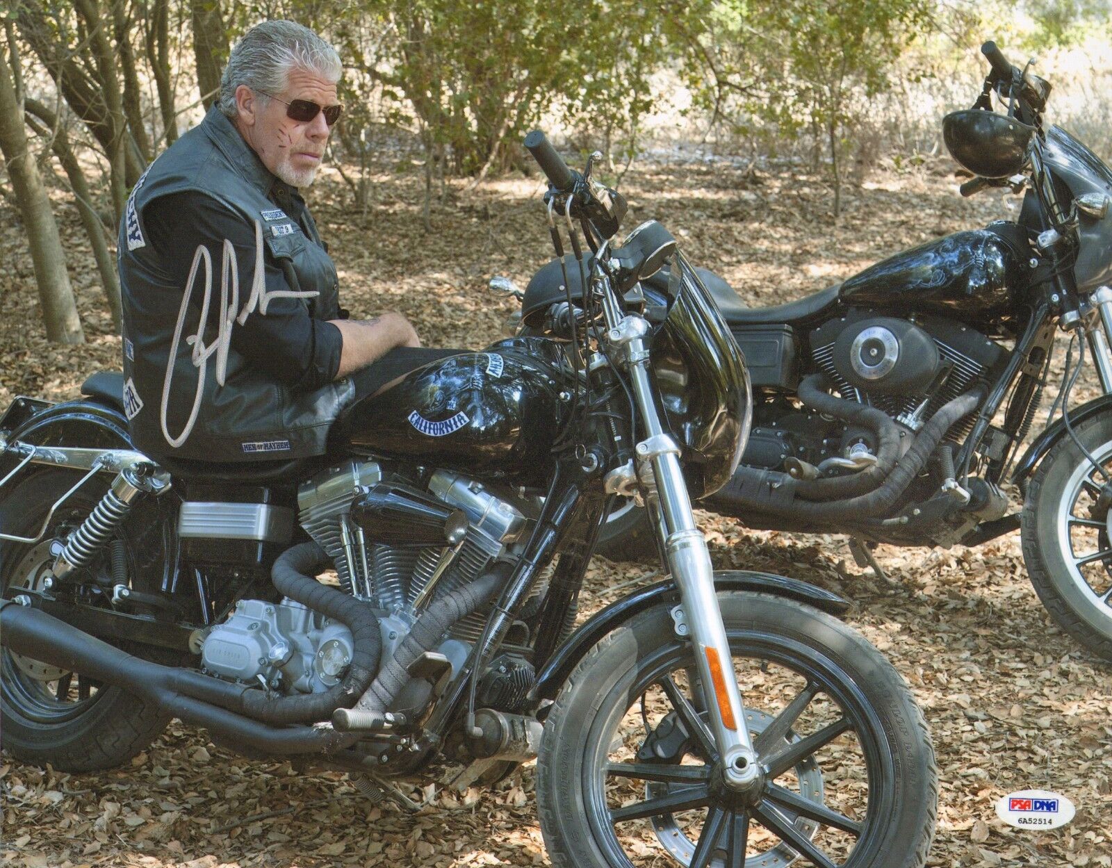 Ron Perlman Signed 11x14 Photo Poster painting PSA/DNA COA Picture Autograph Sons of Anarchy SOA