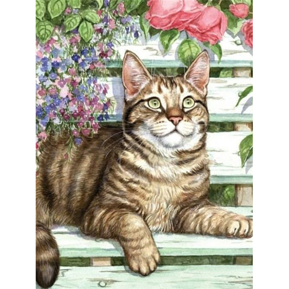 

Cat - Square Drill Diamond Painting - 30*40CM, 501 Original