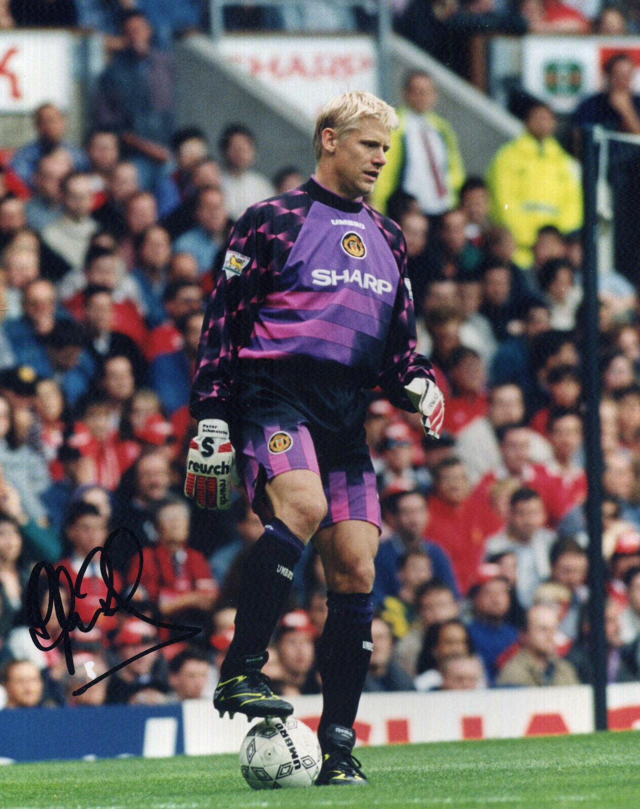 PETER SCHMEICHEL Signed Photo Poster paintinggraph - Manchester United & Denmark - Preprint