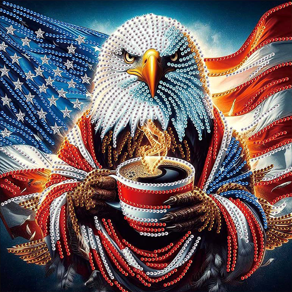 Independence Day Eagle 30*30cm(canvas) special shaped drill diamond painting
