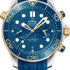 Omega 210.22.44.51.03.001 Seamaster Diver 300M Co-Axial-Master - New