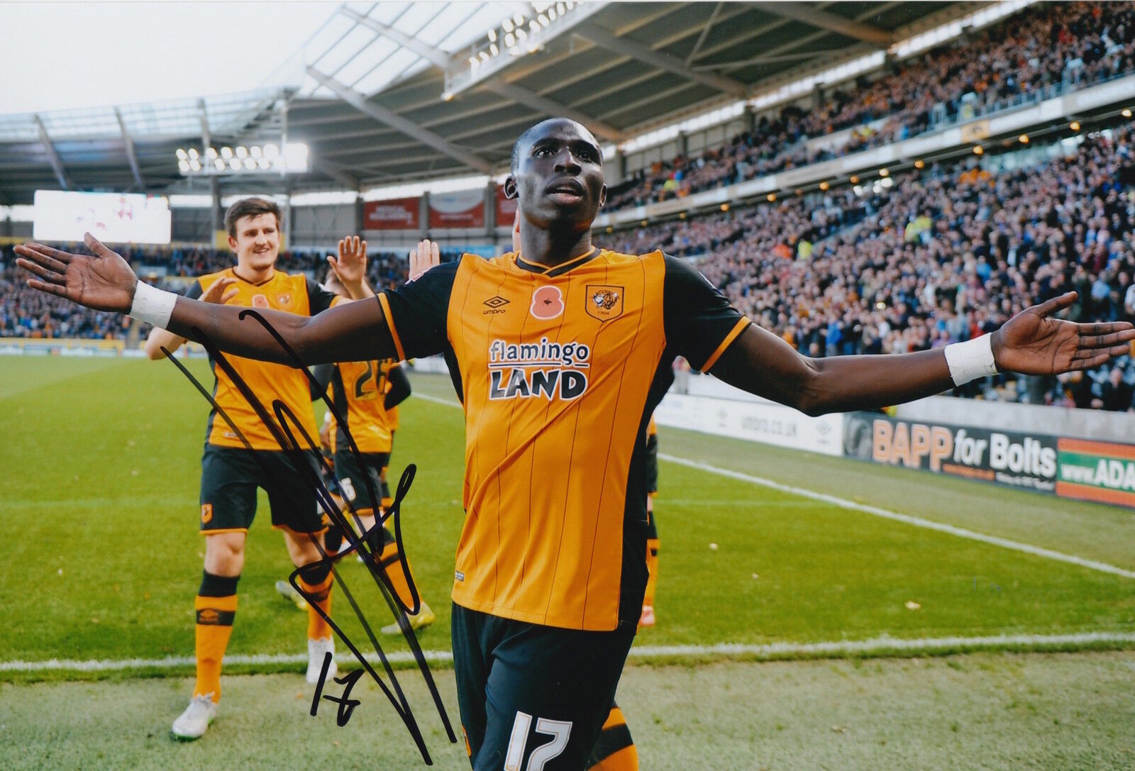 HULL CITY HAND SIGNED MOHAMED DIAME 12X8 Photo Poster painting 2.