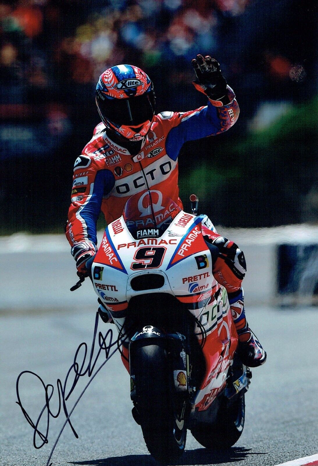 Danilo PETRUCCI 2017 SIGNED Autograph MOTOGP 12x8 Pramac OCTO Photo Poster painting B AFTAL COA