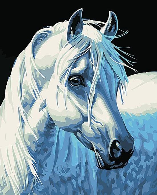 

White Horse Portrait – Paint By Numbers - 40*50CM, 501 Original