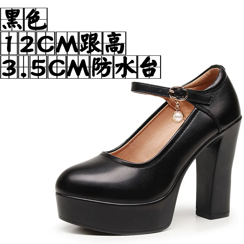 Breakj Breakj 6Cm Silver Heeled Show Shoes Thick-Singing Leather Shoes Thick-Soled Model Single-Shoe Large-Size Working Shoes