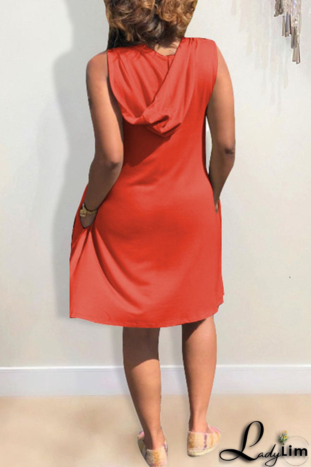 Light Blue Fashion Casual Print Basic Hooded Collar Sleeveless Dress Dresses