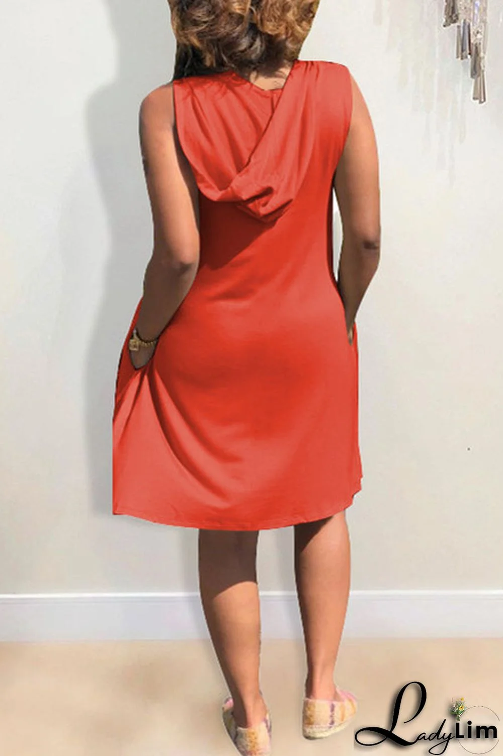 Light Blue Fashion Casual Print Basic Hooded Collar Sleeveless Dress Dresses