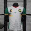 2025 Player Version Cameroon Soccer Jersey Second Away