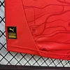2024 Austria Home Football Shirt 1:1 Thai Quality