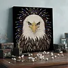 (30x30cm)DIY Eagle Pearl Painting Kit With Inner Frame Home Decor