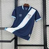 Guatemala 2025/26 Away Shirt