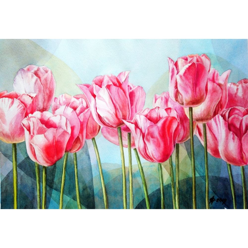 Pink Tulip Flower - Painting By Numbers