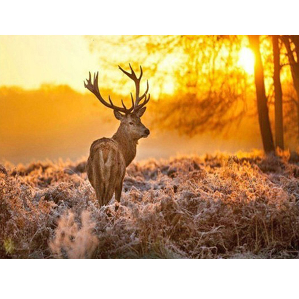 

Deer - Round Drill Diamond Painting - 40*30CM, 501 Original