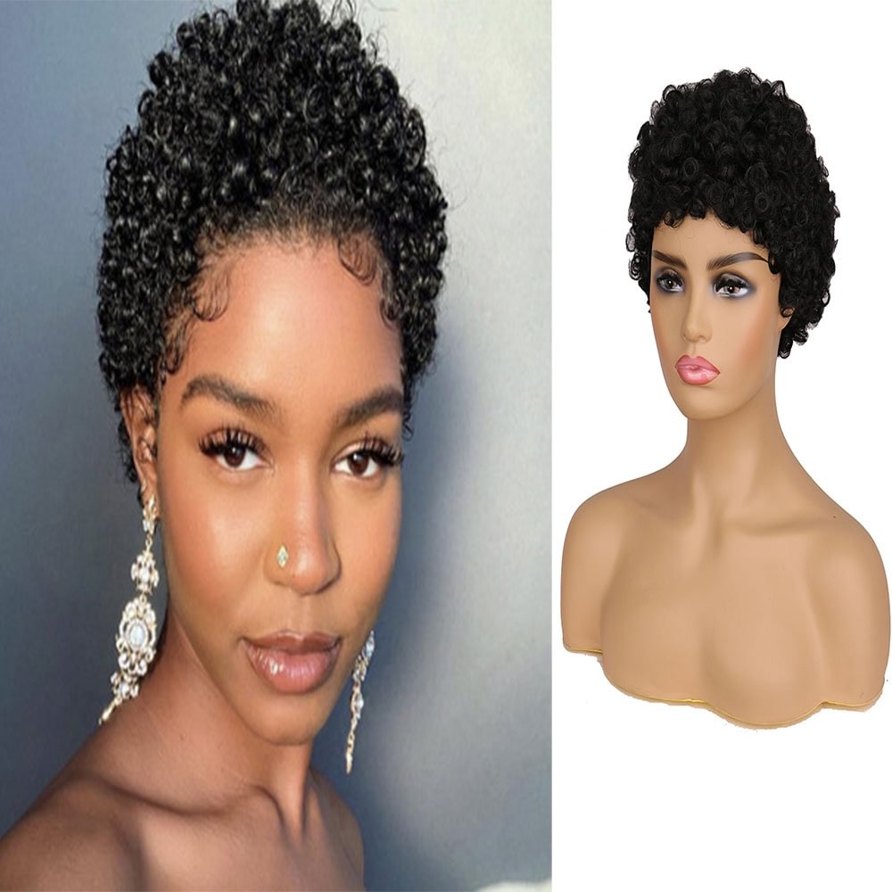 Short Cut Wigs Black Hip Hop Style US Mall Lifes
