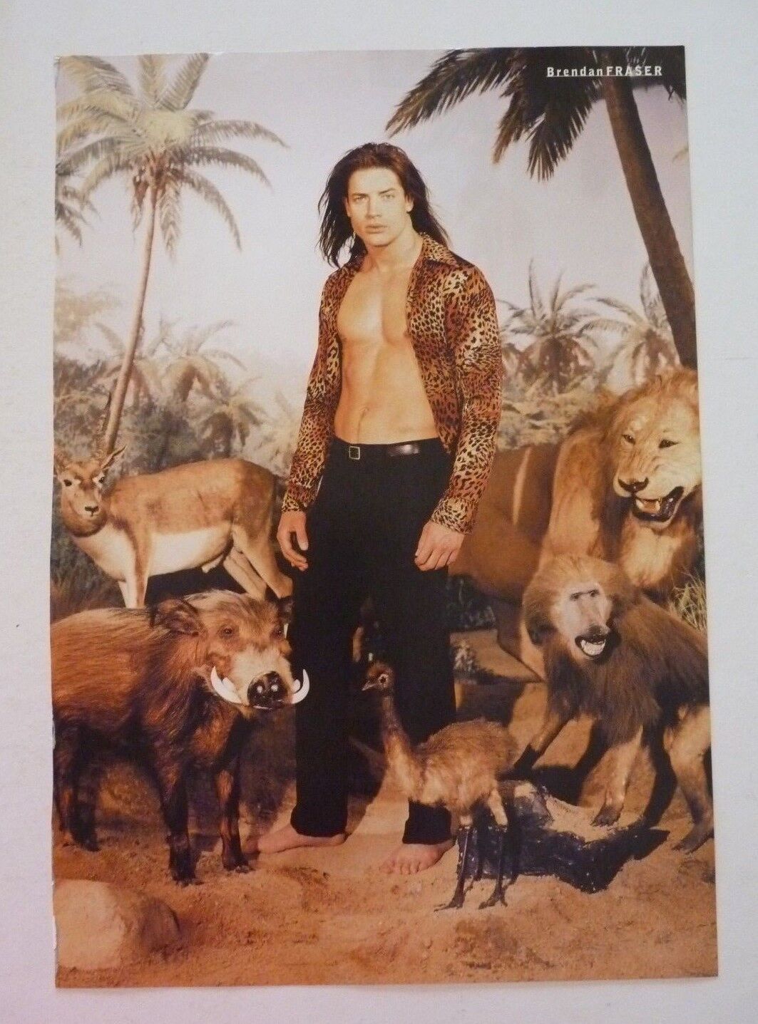 Brendan Fraser Single Sided Coffee Table Book Photo Poster painting Page 9x13