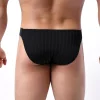 Men's Lace Mesh Bikini Low Rise Briefs Soft Breathable Underwear