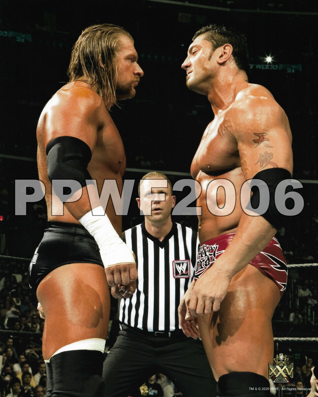 WWE TRIPLE H 25TH ANNIVERSARY LIMITED EDITION OFFICIAL LICENSED 8X10 Photo Poster painting 10