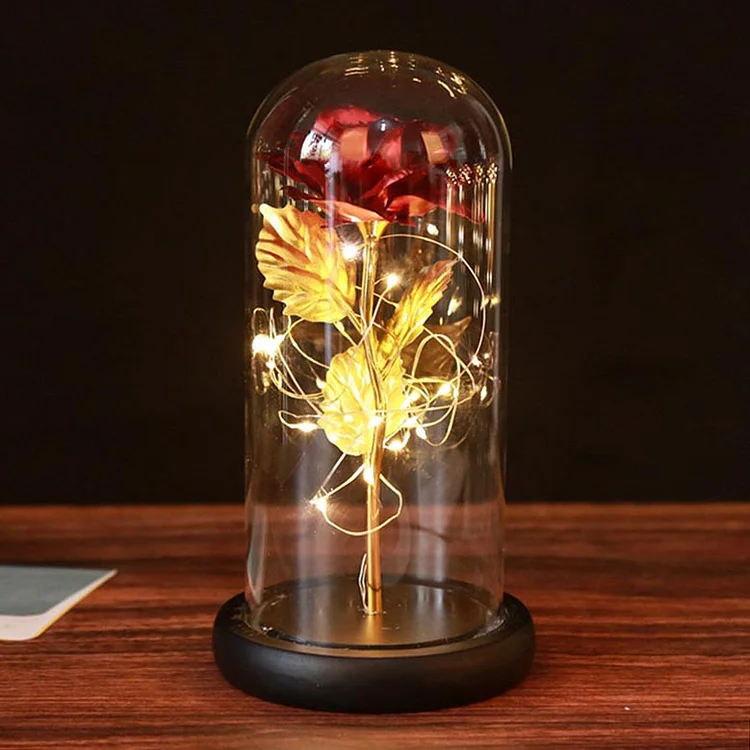 Enchanted Rose Night light with Glass Dome LED Lamp Romantic Gift