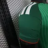 Joyfball 2026 Player Version Algeria National Team Away Stars Football Shirt（The player version jersey is a bit tight, please pay attention to the size selection）