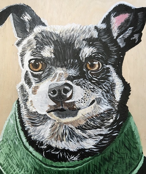 

Gray Chihuahua – Paint By Numbers - 40*50CM, 501 Original