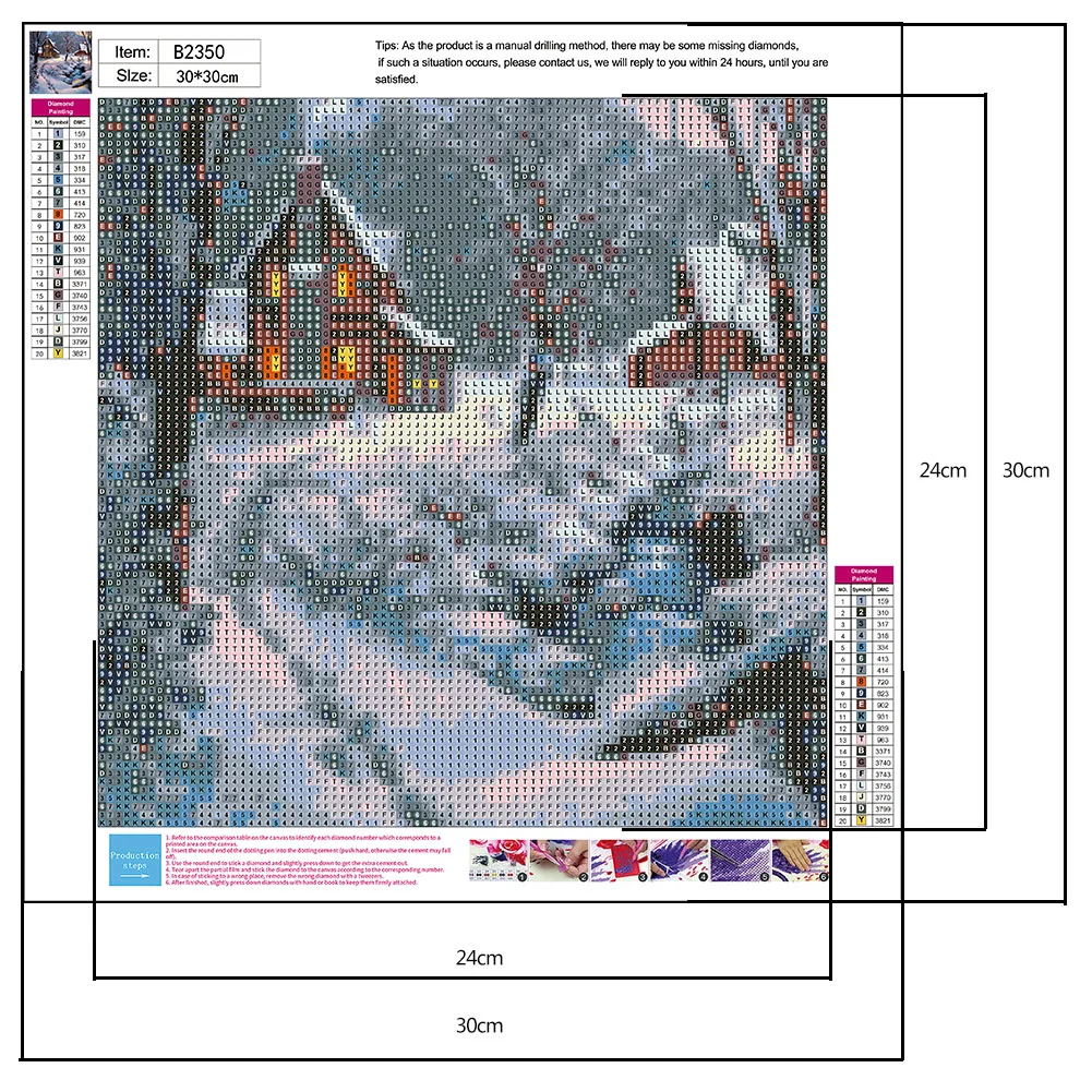 Diamond Painting - Full Round Drill - Snow House(30*30cm)