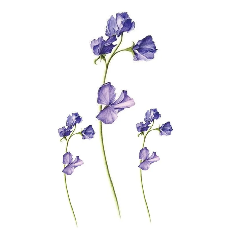 Small Waterproof Temporary Tattoo Sticker Colorful Feather Flower Leaves Planet Moon Women Body Art Wrist Neck Fake Tattoos Men