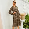 Women's A-Line Dress V-Neck Leopard Print Long Sleeve Midi Dress