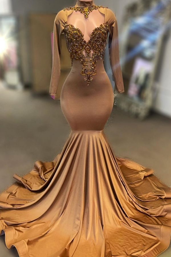 Gorgeous Brown Long Sleeves Evening Dress Mermaid High Neck With Beads - lulusllly