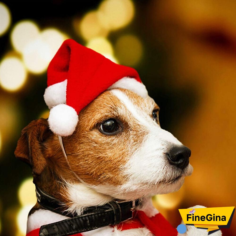 610PCS Dog Santa Hat Cute Birthday Party Cone Christmas Pet Costumes for Puppy Kitten