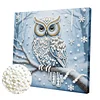 DIY Pearl Painting Owl for Home Wall Decor with Frame(25x25cm)