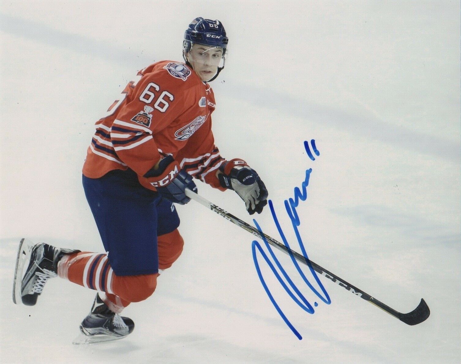 Oshawa Generals Nico Gross Signed Autographed 8x10 NHL Photo Poster painting COA #4