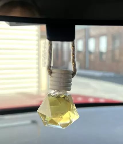 pornhint Pornhint CAR AIR DIFFUSERS | Your Choice Scent | 0.25 oz New