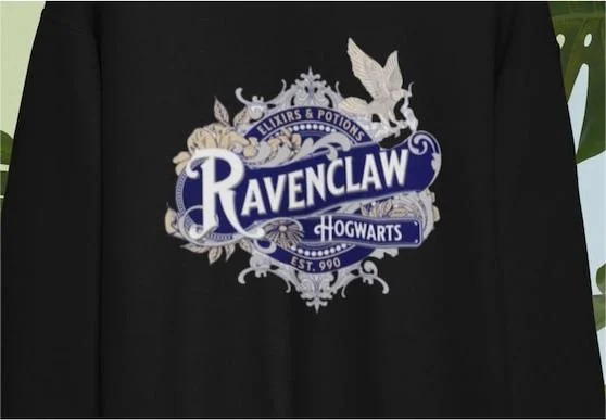 Hogwarts Magic School Sweatshirt