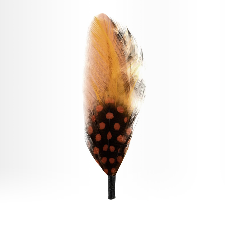 Hat Feather one B