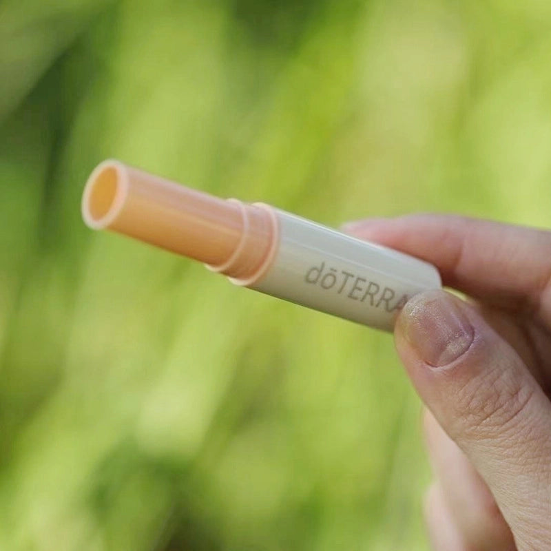 Minimalist Color Block Plastic Lipstick Tube 1 Piece