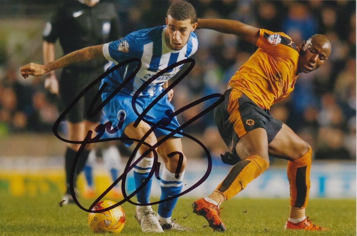 BRIGHTON HAND SIGNED CONNOR GOLDSON 6X4 Photo Poster painting.