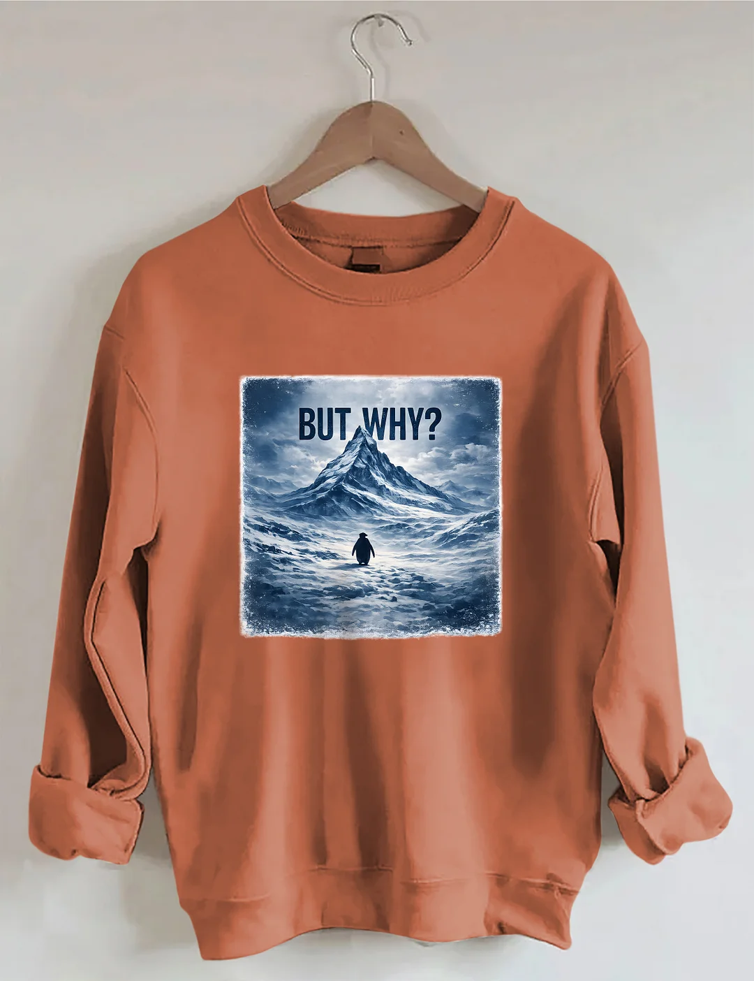 But Why Penguin Sweatshirt