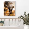 （No Printed Canvas）Counted Cross Stitch 11CT-Elephant 40*50cm