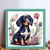 Dachshund - 11CT Stamped Cross Stitch - 40*40cm - Dog
