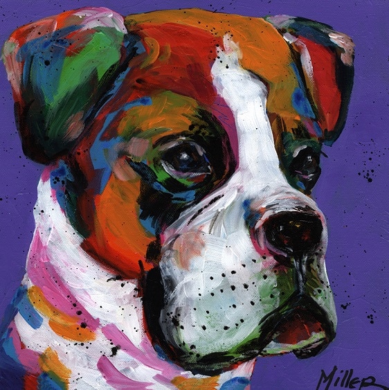 

Bam Bam Boxer Dog – Paint By Numbers - 40*50CM, 501 Original