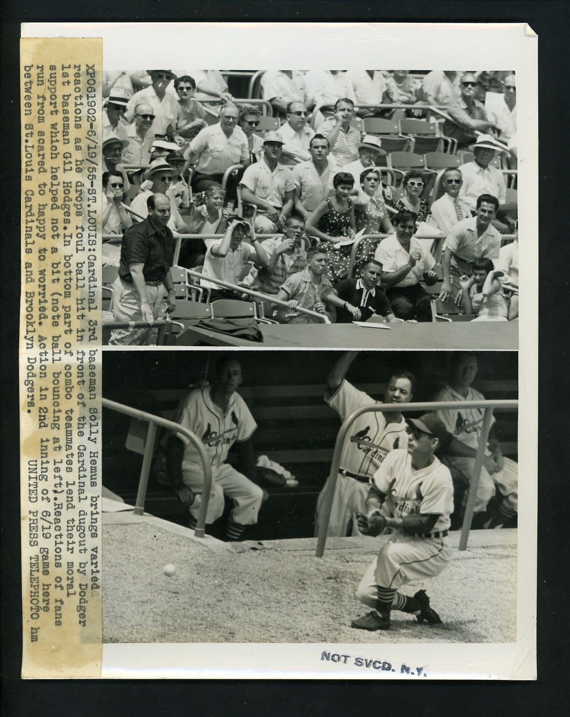 Solly Hemus 1955 Press Photo Poster painting St. Louis Cardinals