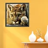 Tiger - 14CT Counted Cross Stitch 40*40cm/15.75*15.75in