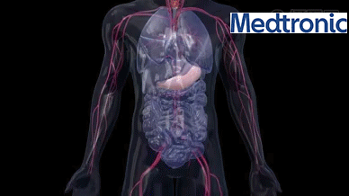 1704638332865825.gif 3D zmiany żołądkowe 3D ciało ludzkie.gif