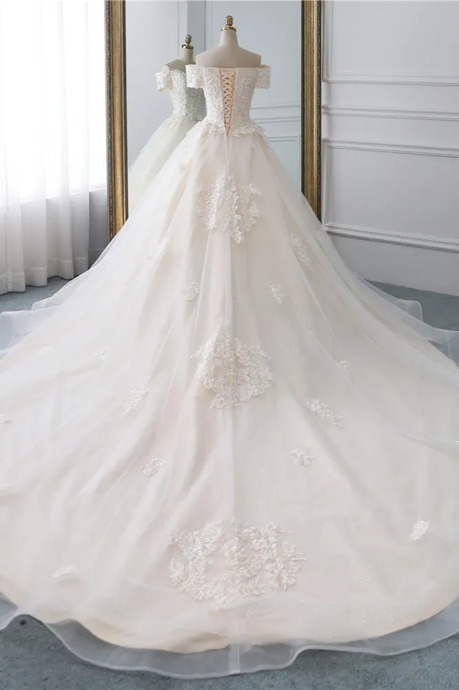 Modest Long A-line Off-the-shoulder Tulle Princess Wedding Dress with Lace