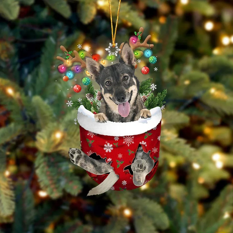 Swedish Vallhund In Snow Pocket Christmas Ornament trabladzer